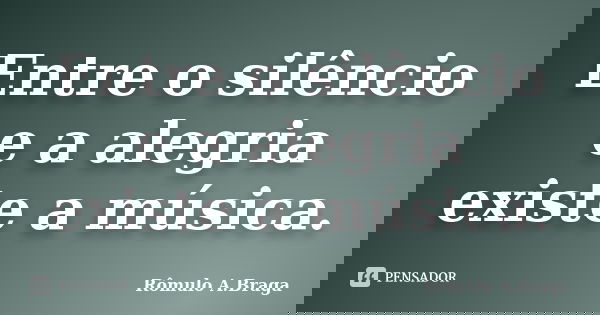 Entre o silêncio e a alegria existe a música.... Frase de Rômulo A.Braga.