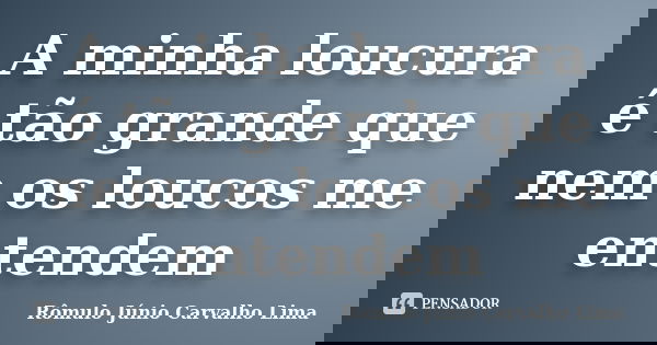 A minha loucura é tão grande que nem os loucos me entendem... Frase de Rômulo Júnio Carvalho Lima.
