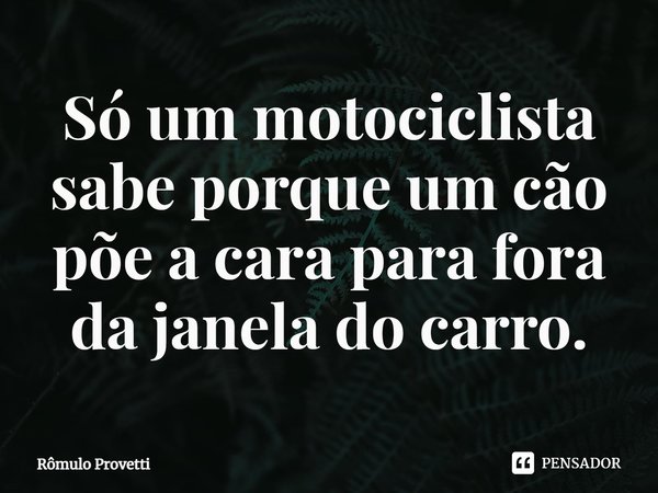 ⁠Só um motociclista sabe porque um cão põe a cara para fora da janelado carro.... Frase de Rômulo Provetti.