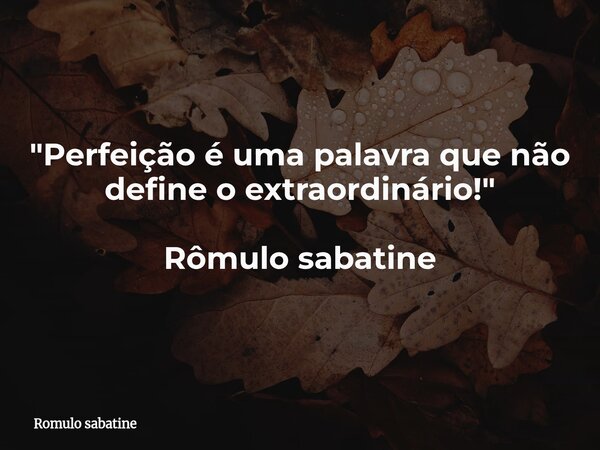 "Perfeição é uma palavra que não define o extraordinário!" Rômulo sabatine... Frase de Romulo sabatine.
