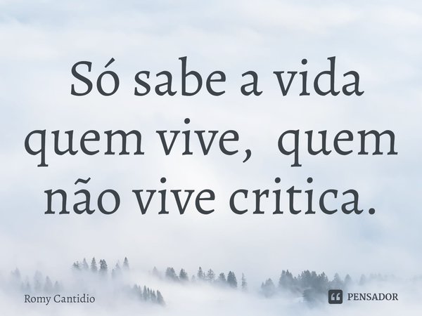 ⁠ Só sabe a vida quem vive, quem não vive critica.... Frase de Romy Cantidio.