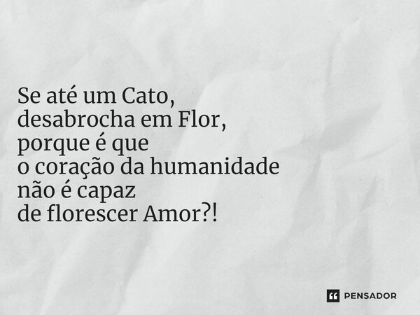 ⁠ Se até um Cato, desabrocha em Flor, porque é que o coração da humanidade não é capaz de florescer Amor?!... Frase de Rómy Pinto 2022.