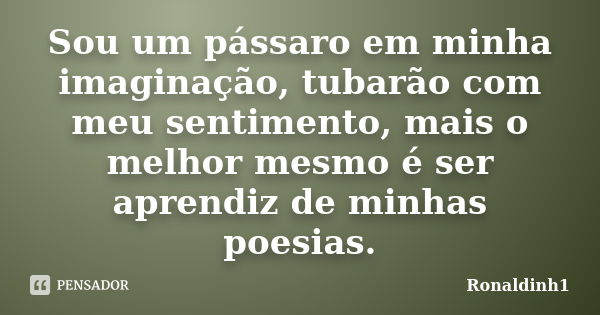 Sou um pássaro em minha imaginação, tubarão com meu sentimento, mais o melhor mesmo é ser aprendiz de minhas poesias.... Frase de Ronaldinh1.