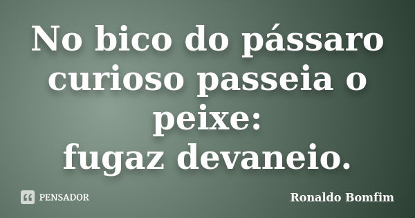 No bico do pássaro
curioso passeia o peixe:
fugaz devaneio.... Frase de Ronaldo Bomfim.