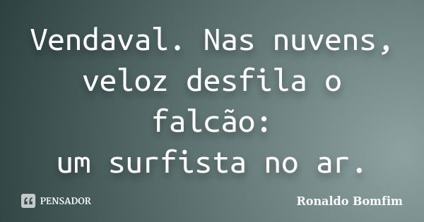 Vendaval. Nas nuvens,
veloz desfila o falcão:
um surfista no ar.... Frase de Ronaldo Bomfim.