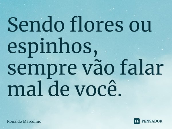 ⁠Sendo flores ou espinhos, sempre vão falar mal de você.... Frase de Ronaldo Marcolino.