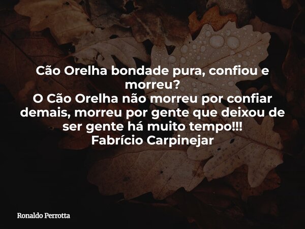 Cão Orelha bondade pura, confiou e morreu? O Cão Orelha não morreu por confiar demais, morreu por gente que deixou de ser gente há muito tempo!!! Fabrício Carpi... Frase de Ronaldo Perrotta.
