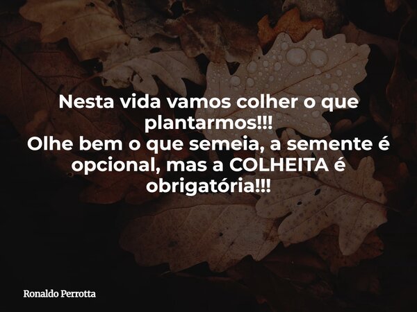 Nesta vida vamos colher o que plantarmos!!! Olhe bem o que semeia, a semente é opcional, mas a COLHEITA é obrigatória!!!... Frase de Ronaldo Perrotta.