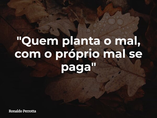 "Quem planta o mal, com o próprio mal se paga"... Frase de Ronaldo Perrotta.