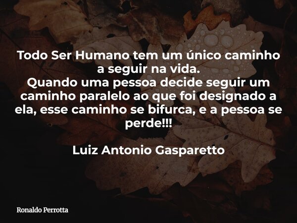 Todo Ser Humano tem um único caminho a seguir na vida. Quando uma pessoa decide seguir um caminho paralelo ao que foi designado a ela, esse caminho se bifurca, ... Frase de Ronaldo Perrotta.