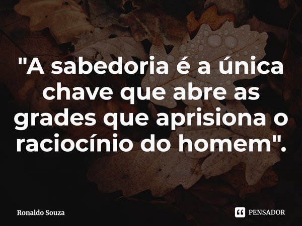 "⁠A sabedoria é a única chave que abre as grades que aprisiona o raciocínio do homem".... Frase de Ronaldo Souza.