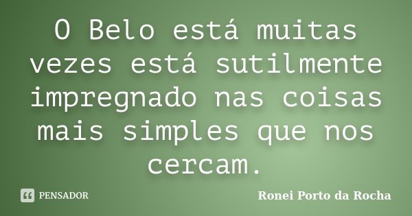 O Belo está muitas vezes está sutilmente impregnado nas coisas mais simples que nos cercam.... Frase de Ronei Porto da Rocha.