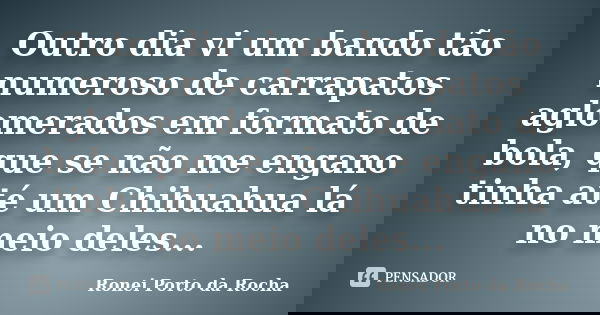 Outro dia vi um bando tão numeroso de carrapatos aglomerados em formato de bola, que se não me engano tinha até um Chihuahua lá no meio deles...... Frase de Ronei Porto da Rocha.