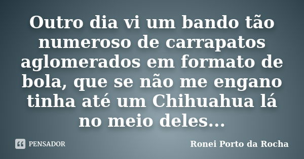 Outro dia vi um bando tão numeroso de carrapatos aglomerados em formato de bola, que se não me engano tinha até um Chihuahua lá no meio deles...... Frase de Ronei Porto da Rocha.