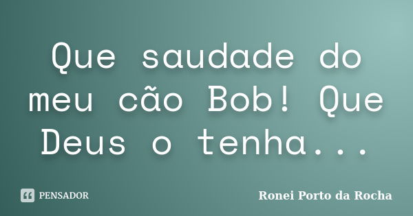 Que saudade do meu cão Bob! Que Deus o tenha...... Frase de Ronei Porto da Rocha.