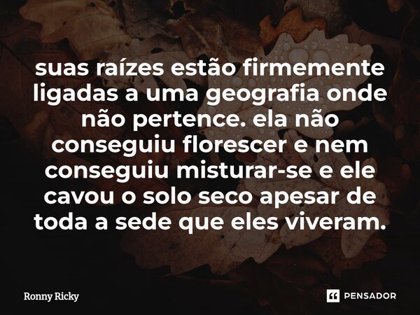 ⁠suas raízes estão firmemente ligadas a uma geografia onde não pertence. ela não conseguiu florescer e nem conseguiu misturar-se e ele cavou o solo seco apesar ... Frase de Ronny Ricky.