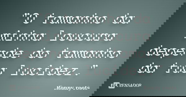 "O tamanho da minha loucura depende do tamanho da tua lucidez."... Frase de Ronny Roots.