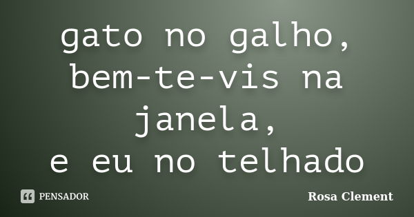 gato no galho,
bem-te-vis na janela,
e eu no telhado... Frase de Rosa Clement.