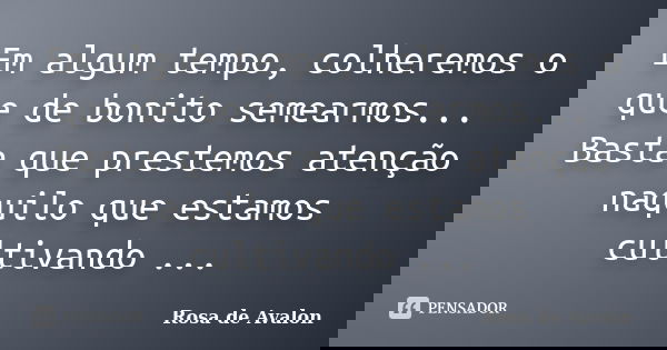 Em algum tempo, colheremos o que de bonito semearmos... Basta que prestemos atenção naquilo que estamos cultivando ...... Frase de Rosa de Avalon.