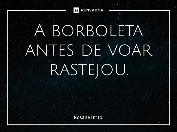 A borboleta antes de voar rastejou. ⁠... Frase de Rosane Brito.