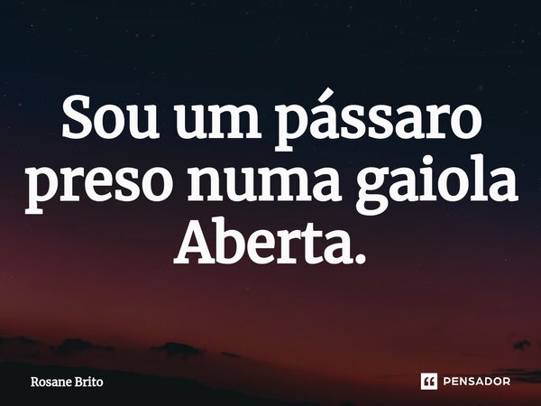 ⁠Sou um pássaro preso numa gaiola Aberta.... Frase de Rosane Brito.