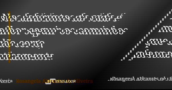 Nos labirintos da vida é melhor seguir os caminhos que dão certo, pleonasticamente.... Frase de Rosangela Abrantes de Oliveira.