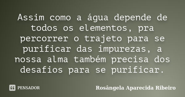 Assim como a água depende de todos os elementos, pra percorrer o trajeto para se purificar das impurezas, a nossa alma também precisa dos desafios para se purif... Frase de Rosângela Aparecida Ribeiro.