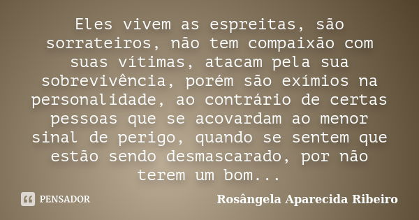 Eles vivem as espreitas, são sorrateiros, não tem compaixão com suas vítimas, atacam pela sua sobrevivência, porém são exímios na personalidade, ao contrário de... Frase de Rosângela Aparecida Ribeiro.