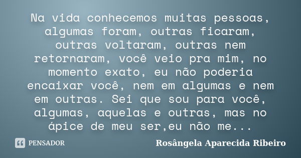 Na vida conhecemos muitas pessoas, algumas foram, outras ficaram, outras voltaram, outras nem retornaram, você veio pra mim, no momento exato, eu não poderia en... Frase de Rosângela Aparecida Ribeiro.