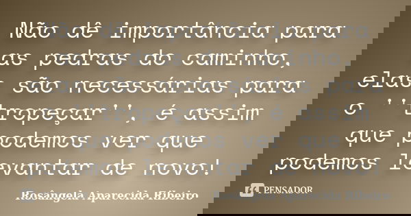 Não dê importância para as pedras do caminho, elas são necessárias para o ''tropeçar'', é assim que podemos ver que podemos levantar de novo!... Frase de Rosângela Aparecida Ribeiro.