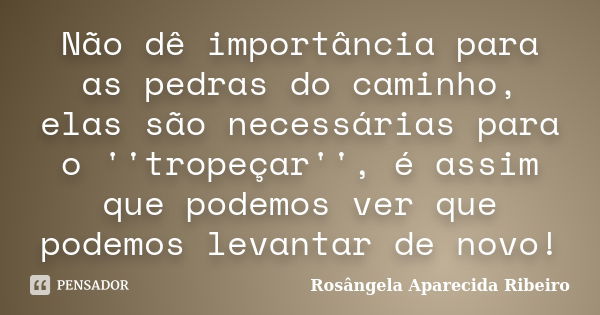 Não dê importância para as pedras do caminho, elas são necessárias para o ''tropeçar'', é assim que podemos ver que podemos levantar de novo!... Frase de Rosângela Aparecida Ribeiro.