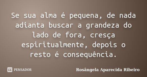 Se sua alma é pequena, de nada adianta buscar a grandeza do lado de fora, cresça espiritualmente, depois o resto é consequência.... Frase de Rosângela Aparecida Ribeiro.