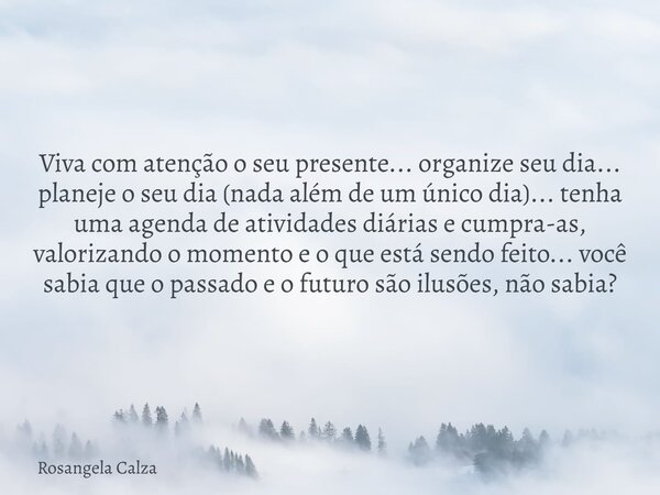Viva com atenção o seu presente... organize seu dia... planeje o seu dia (nada além de um único dia)... tenha uma agenda de atividades diárias e cumpra-as, valo... Frase de Rosangela Calza.