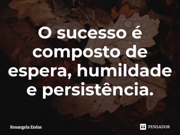 ⁠O sucesso é composto de espera, humildade e persistência.... Frase de Rosangela Enéas.