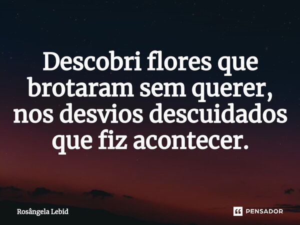 ⁠Descobri flores que brotaram sem querer, nos desvios descuidados que fiz acontecer.... Frase de Rosângela Lebid.