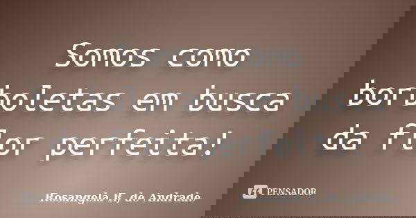 Somos como borboletas em busca da flor perfeita!... Frase de Rosangela R, de Andrade.