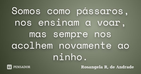 Somos como pássaros, nos ensinam a voar, mas sempre nos acolhem novamente ao ninho.... Frase de Rosangela R. de Andrade.