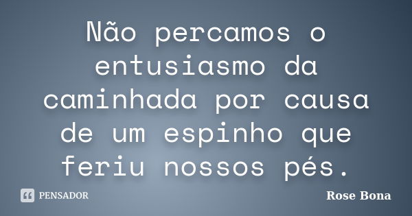 Não percamos o entusiasmo da caminhada por causa de um espinho que feriu nossos pés.... Frase de Rose Bona.