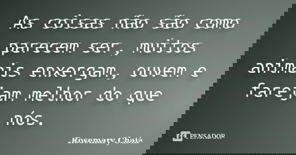 As coisas não são como parecem ser, muitos animais enxergam, ouvem e farejam melhor do que nós.... Frase de Rosemary Chaia.