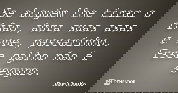 Se alguém lhe tirar o chão, abra suas asas e voe, passarinho. Esse galho não é seguro.... Frase de Rosi Coelho.
