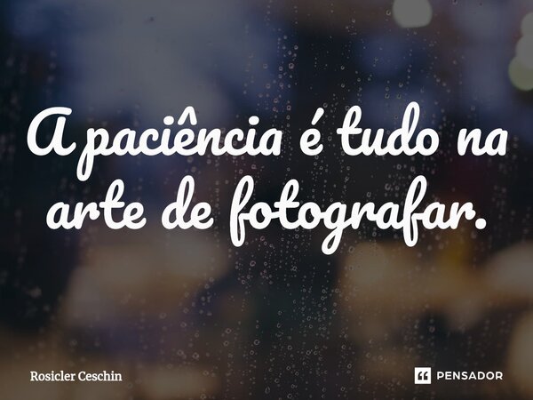 ⁠A paciência é tudo na arte de fotografar.... Frase de Rosicler Ceschin.