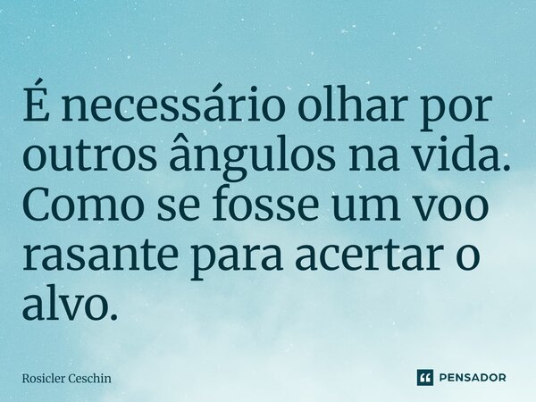 ⁠É necessário olhar por outros ângulos na vida. Como se fosse um voo rasante para acertar o alvo.... Frase de Rosicler Ceschin.