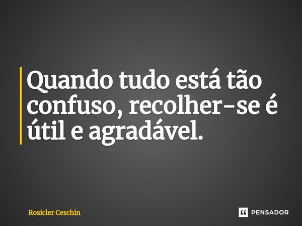 ⁠Quando tudo está tão confuso, recolher-se é útil e agradável.... Frase de Rosicler Ceschin.