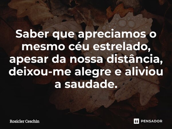 ⁠Saber que apreciamos o mesmo céu estrelado, apesar da nossa distância, deixou-me alegre e aliviou a saudade.... Frase de Rosicler Ceschin.