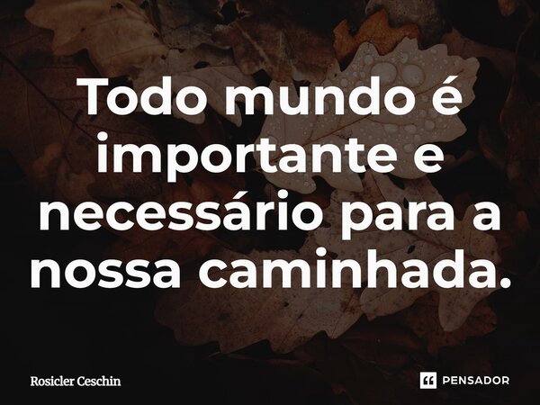 ⁠Todo mundo é importante e necessário para a nossa caminhada.... Frase de Rosicler Ceschin.