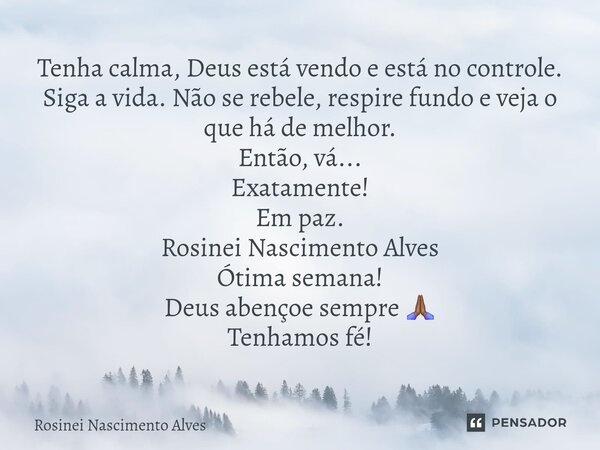 Tenha calma, Deus está vendo e está no controle. Siga a vida. Não se rebele, respire fundo e veja o que há de melhor. Então, vá... Exatamente! Em paz. Rosinei ... Frase de Rosinei Nascimento Alves.