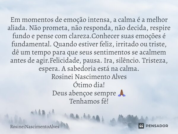 ⁠Em momentos de emoção intensa, a calma é a melhor aliada. Não prometa, não responda, não decida, respire fundo e pense com clareza.Conhecer suas emoções é fund... Frase de RosineiNascimentoAlves.