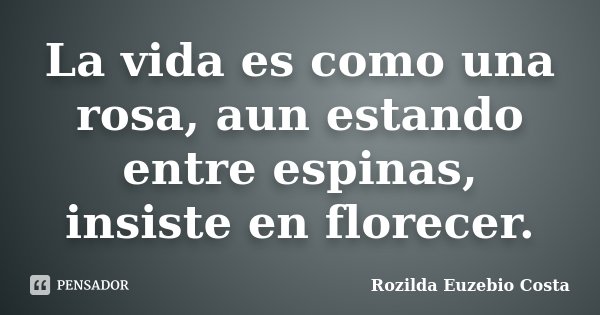 La vida es como una rosa, aun estando entre espinas, insiste en florecer.... Frase de Rozilda Euzebio Costa.