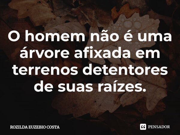 ⁠O homem não é uma árvore afixada em terrenos detentores de suas raízes.... Frase de Rozilda Euzebio Costa.