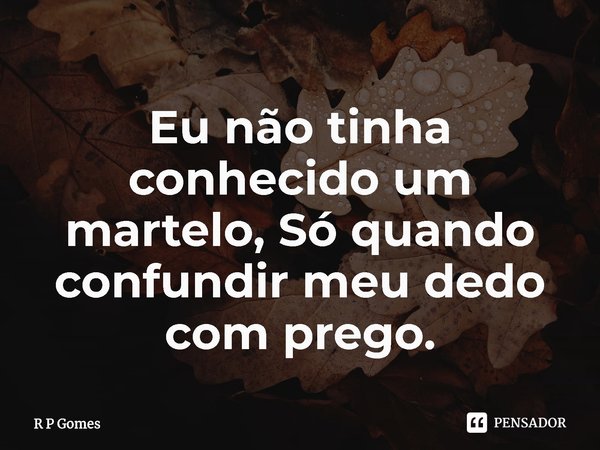 ⁠Eu não tinha conhecido um martelo, Só quando confundir meu dedo com prego.... Frase de R P Gomes.